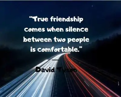 silence status quotes by David Tyson