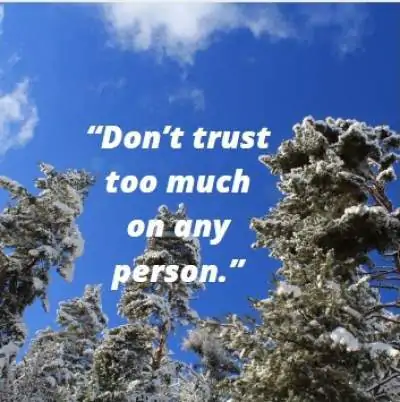 whatapp status quotes on too much trusting