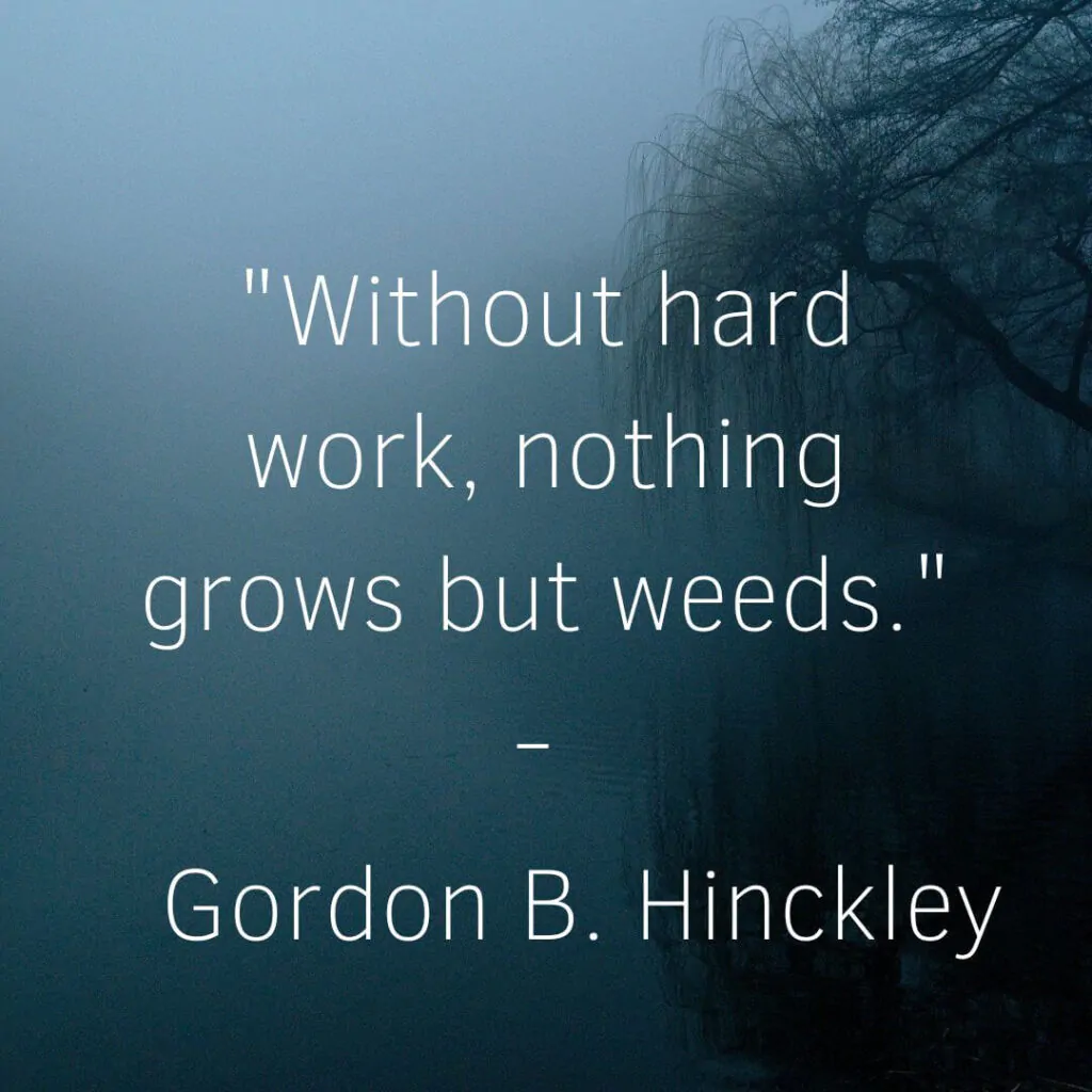 without hard work quotes