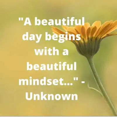 beautiful day beautiful mindset status quotes