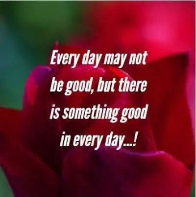 good captions about life