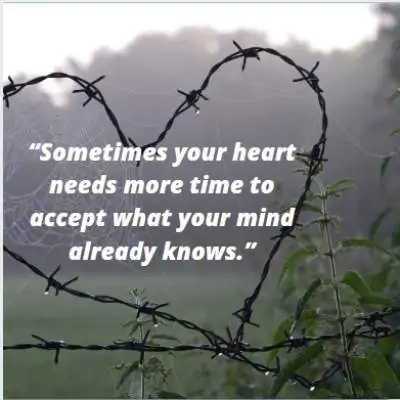 heart touching status on time