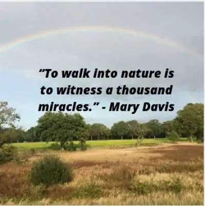 tarvel caption ideas