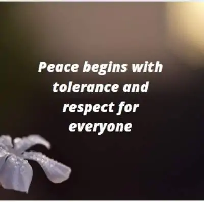 peace quotes for whatsapp status