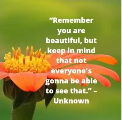 you are beautiful status quotes