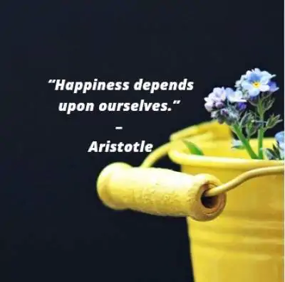 status message on happiness depends upon ourselves