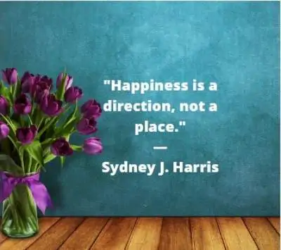 status quotes on Happiness is a direction