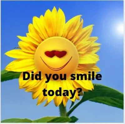 did you smile today status quotes