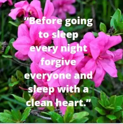 status for forgiveness for ahatsapp