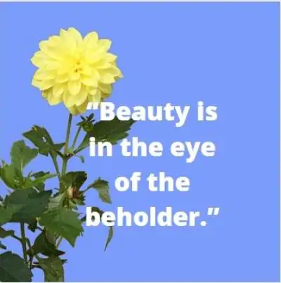 Download quotes for whatsappp status on beauty lies (is) in the eyes