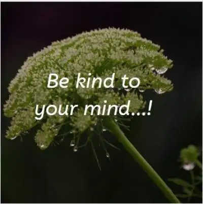 Short status quotes on being kind