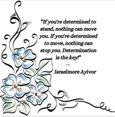 motivational quotes on determination