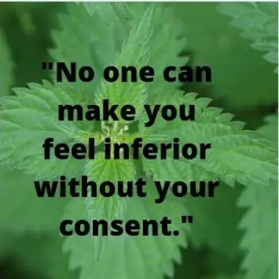 whatsapp status quotes on feeling inferior