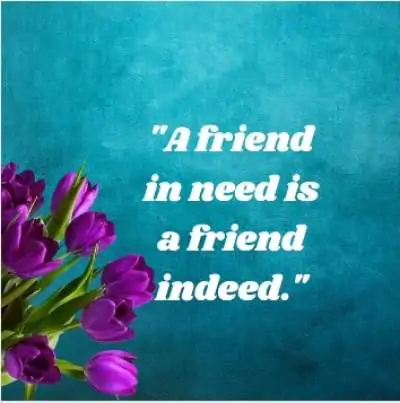 download whatsapp status quotes on real fiend