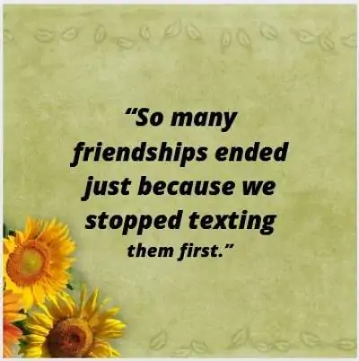 friendship ended status quotes