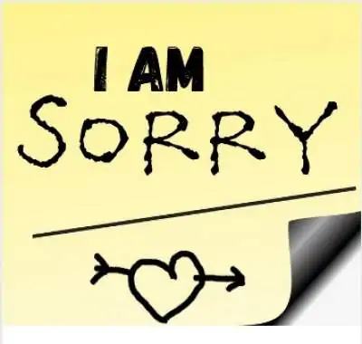 i am sorry status message