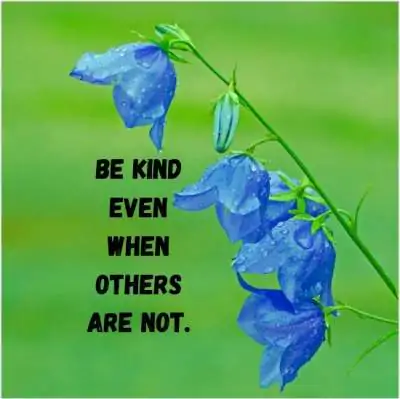 kindness messages for whatsapp status