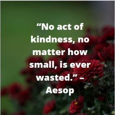 kindness acts quotes for whatsapp status by Aesop