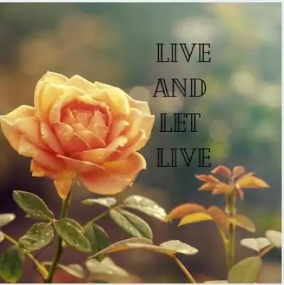 live life status for whatsapp