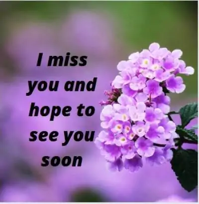 miss you see you soon status for whatsapp