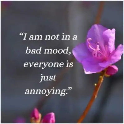 i am not in bad mood