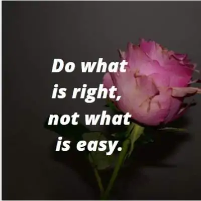 right and easy status