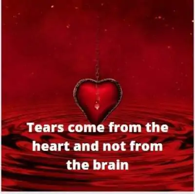 sad status on tears for whatsapp