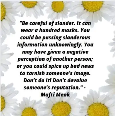 slander quotes by Mufti Menk