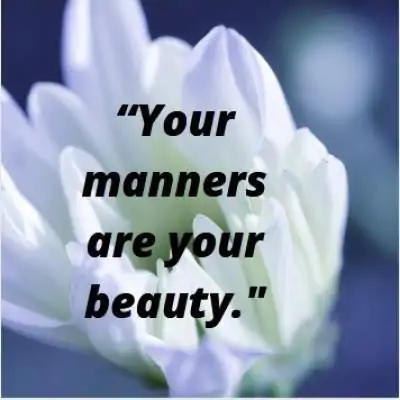 status quotes on beauty