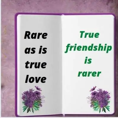 2 line status on love and friendship