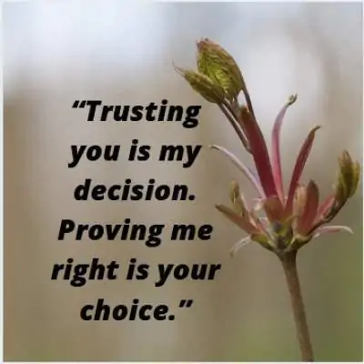 status quote on trust for whatsapp