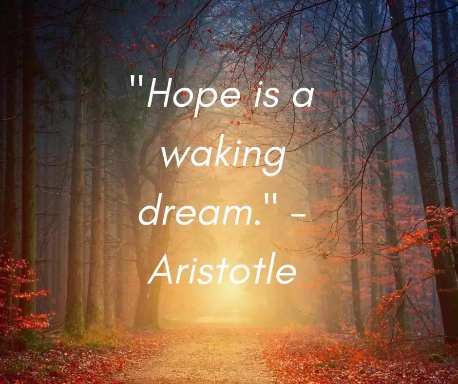 hope is waking dream