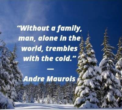 quotes on without family