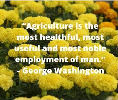 quotes on agriculture employment