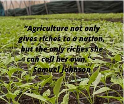 agriculture riches quotes
