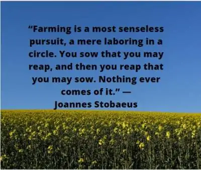 Quotes on Farming is a most senseless pursuit