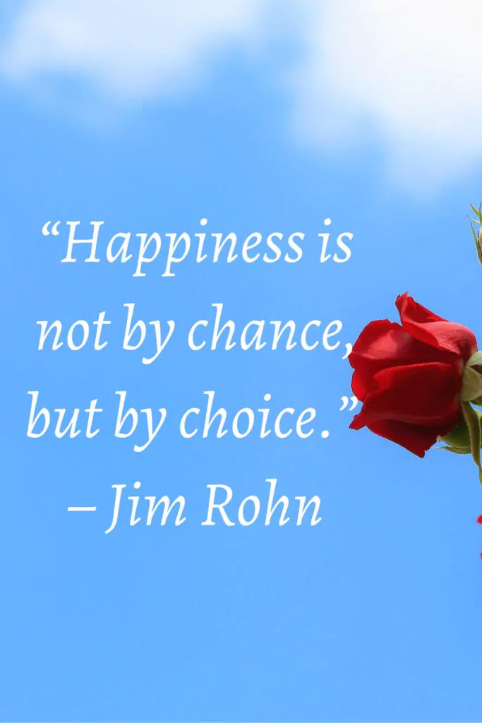 quote on happiness is not by chance