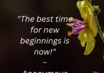 whatsapp status quote on the best time to beginning