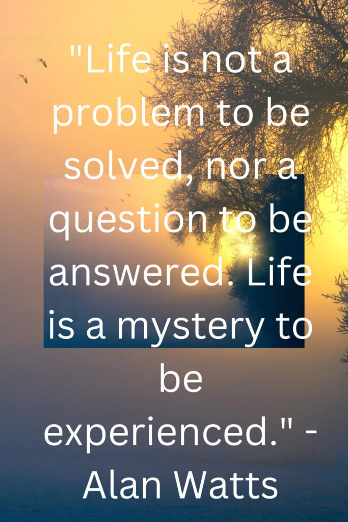 alan watts quotes on life