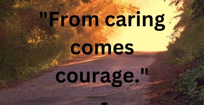 from caring comes courage quote by Lao Tzu