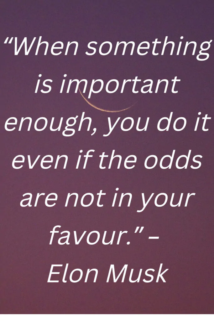 elon musk quotes on important things