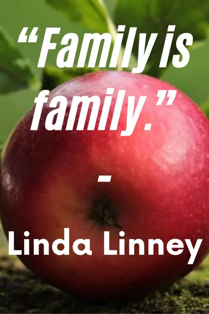 family is family quotes