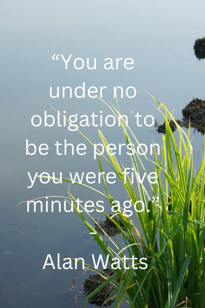 life quotes alan watts