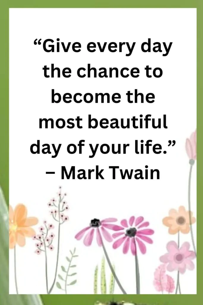 life quotes mark twain