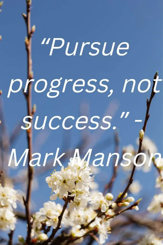 mark manson quotes on pursue progress