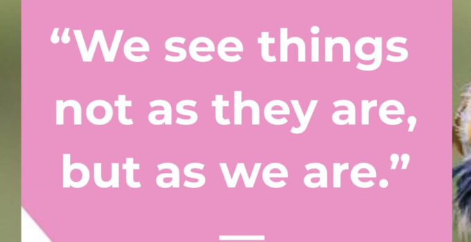 How we see things quotes
