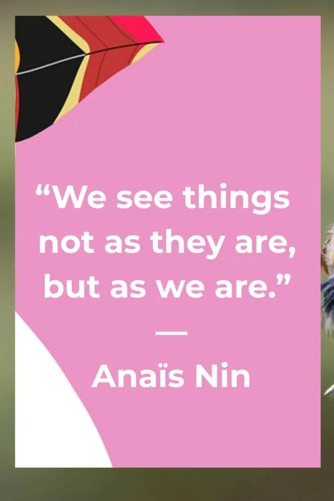 How we see things quotes