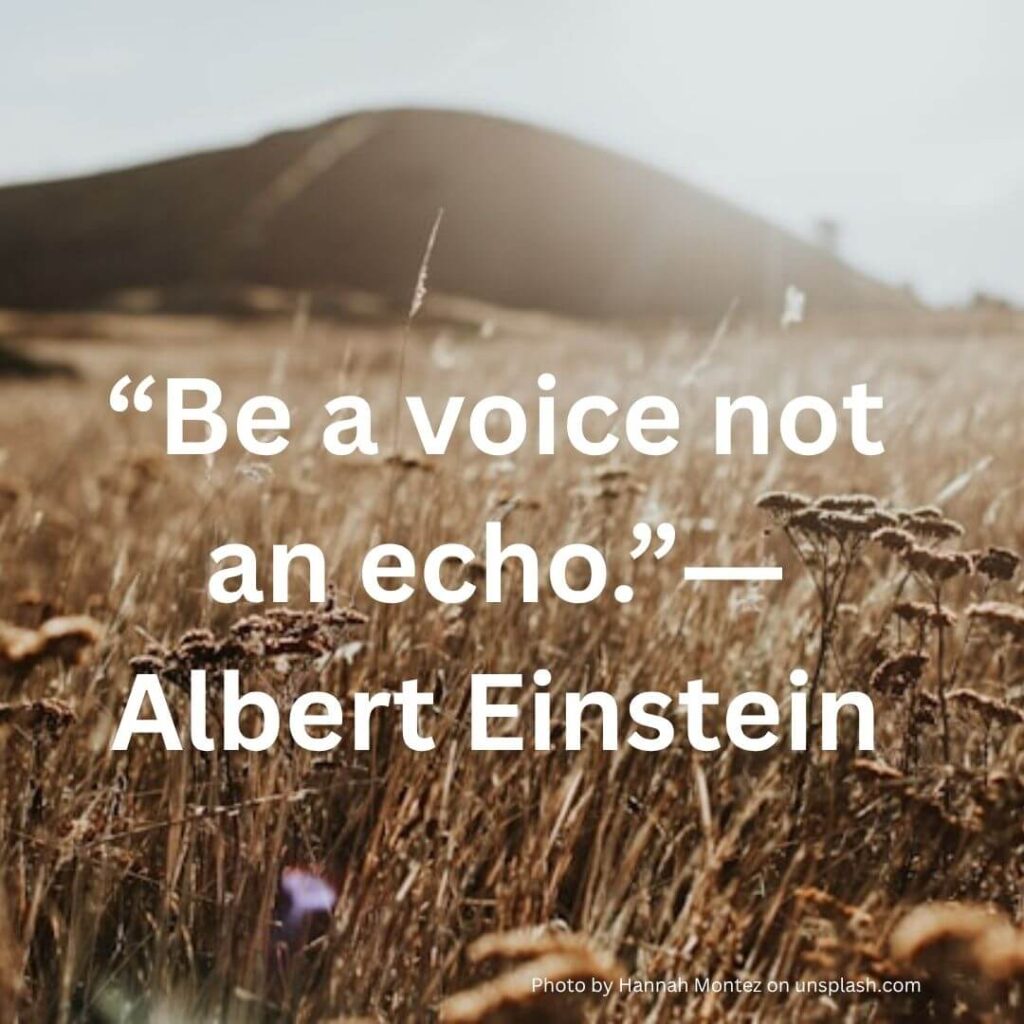 be a voice not an echo by Albert Einstein