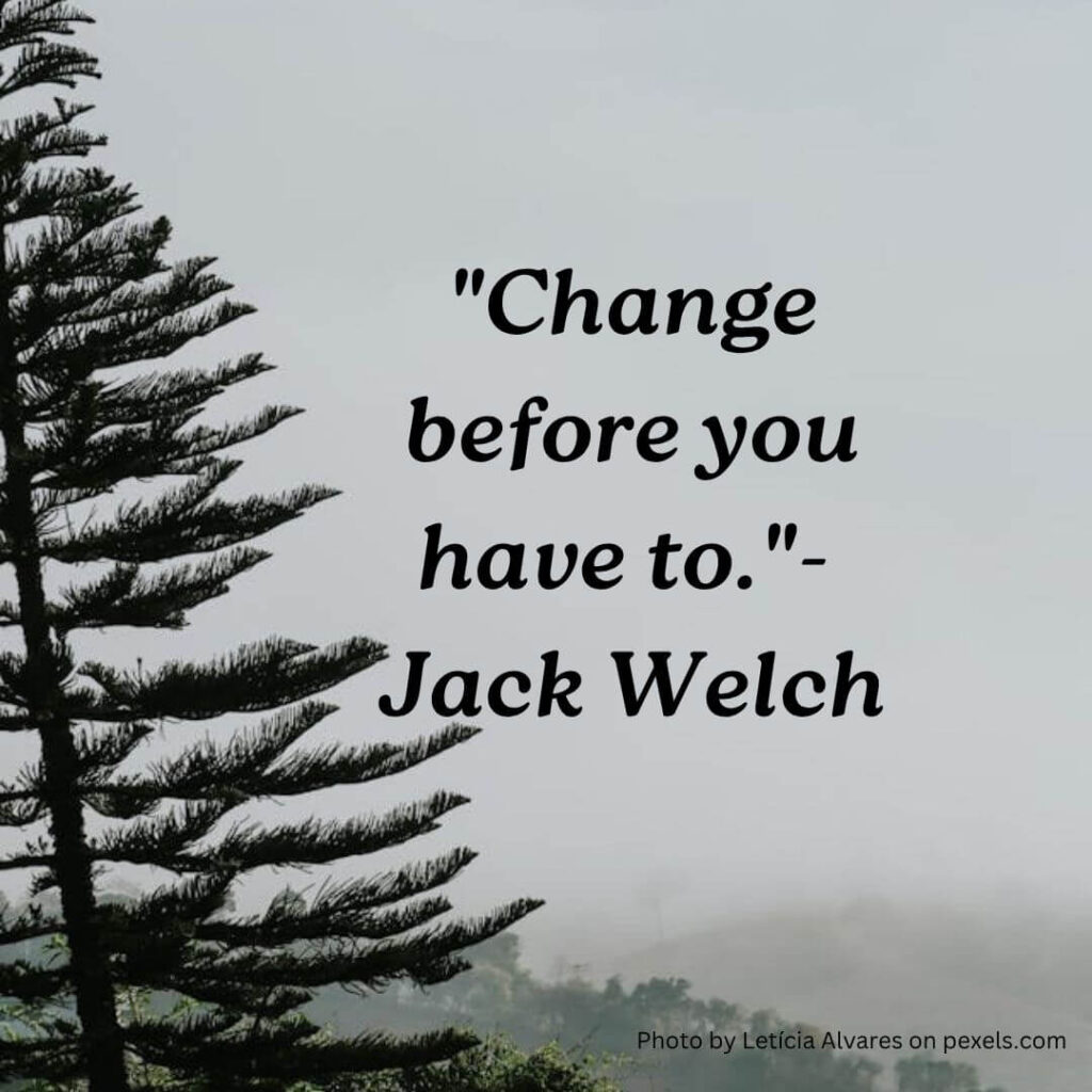 change quote by Jack Welch