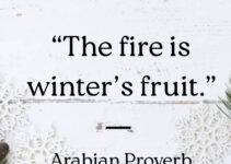 arabic proverb quote on winter